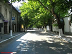 Strada Carpati la film.jpg (149kb)